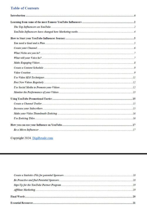YouTube Influence Mastery ebook PLR