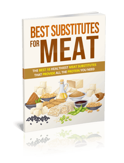 Best Substitutes For Meat: Ebook with PLR