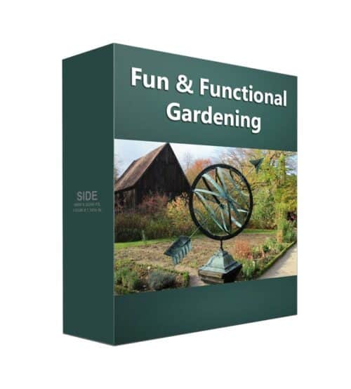 Fun Gardening 2024: Transform Your Garden Landscape