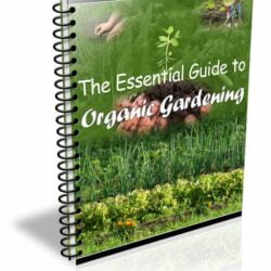 Organic Gardening Essentials eBook with PLR