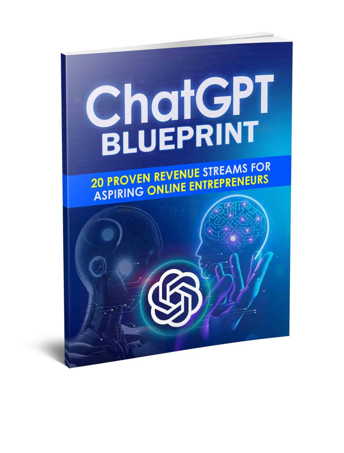 AI ChatGPT Money Blueprint PLR Download