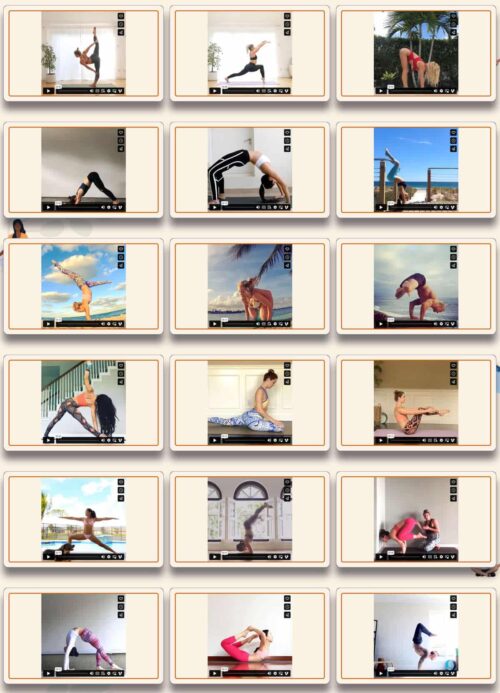 Preview Yoga Videos