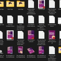 The Discipline Code Self-Help eBook with MRR Rights Download - Image 4
