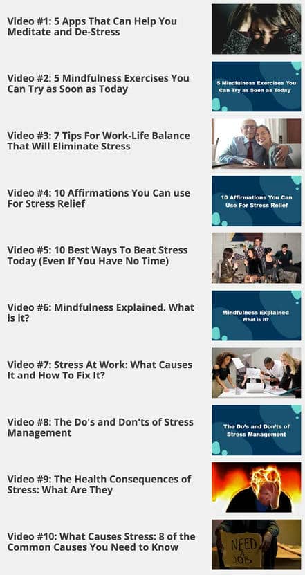 videos resized